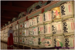 20120828 Japonia Nikko (54)