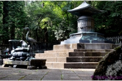 20120828 Japonia Nikko (60)