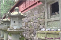 20120828 Japonia Nikko (92)