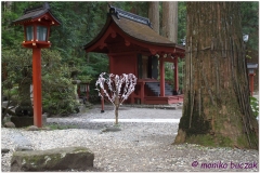 20120828 Japonia Nikko (98)