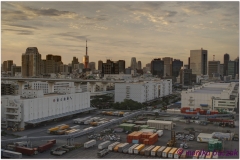 20120829 Japonia Tokio (118)_19)_20)_fused