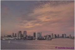 20120829 Japonia Tokio (141)_2)_3)_fused