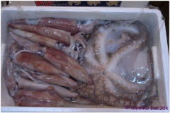 20120829 Japonia Tokio (20)