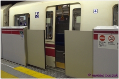 20120829 Japonia Tokio (63)