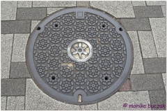 20120830 Japonia  Kioto (54)