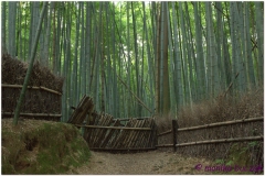 20120831 Japonia Kioto (133)