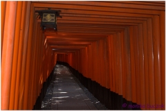 20120831 Japonia Kioto (14)