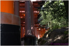 20120831 Japonia Kioto (25)