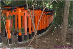 20120831 Japonia Kioto (49)