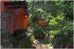20120831 Japonia Kioto (52)