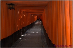 20120831 Japonia Kioto (9)