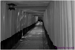 20120831 Japonia Kioto (9)bw
