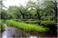 20120902 Japonia Kanazawa (104)