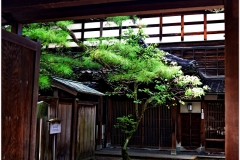 20120902 Japonia Kanazawa (20)b