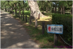 20120903 Japonia Amanohashidate (33)