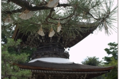 20120903 Japonia Amanohashidate (4)