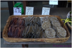 20120903 Japonia Amanohashidate (72)