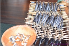 20120903 Japonia Amanohashidate (75)