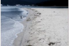 20120903 Japonia Amanohashidate (84)