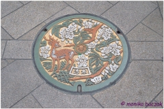 20120905 Japonia Nara (123)