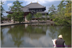 20120905 Japonia Nara (47)