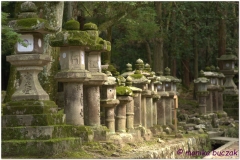 20120905 Japonia Nara (84)