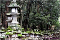 20120905 Japonia Nara (95)