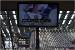 20120907 Japonia Himeji (33)