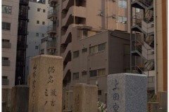 20120907 Japonia Osaka (9)