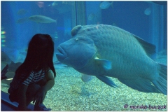 20120908 Japonia Osaka (165)