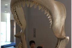 20120908 Japonia Osaka (191)