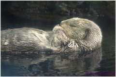 20120908 Japonia Osaka (20)