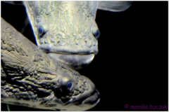 20120908 Japonia Osaka (33)