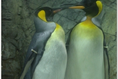 20120908 Japonia Osaka (41)