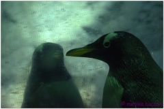 20120908 Japonia Osaka (45)