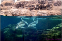 20120908 Japonia Osaka (58)