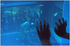 20120908 Japonia Osaka (68)