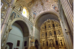 20130501 Meksyk - Oaxaca 12