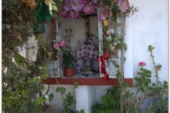 20130502 Meksyk Oaxaca-Mitla-Tule 20