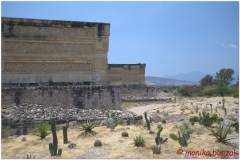 20130502 Meksyk Oaxaca-Mitla-Tule 33
