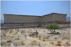 20130502 Meksyk Oaxaca-Mitla-Tule 35