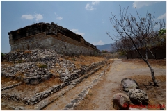 20130502 Meksyk Oaxaca-Mitla-Tule 59