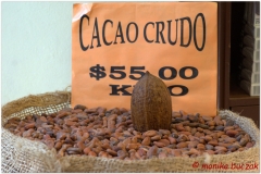 20130504 Meksyk Oaxaca 16