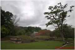 20130505 Meksyk Palenque 38