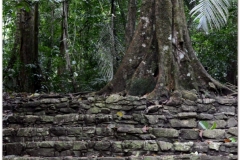 20130505 Meksyk Palenque 43