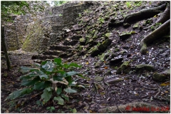 20130505 Meksyk Palenque 45