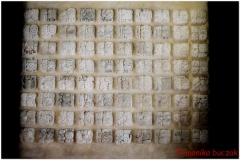20130505 Meksyk Palenque 56