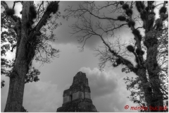 20130507 Gwatemala Tikal-Remate 61And1more_tonemapped
