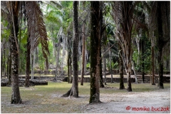 20130509 Meksyk Chetumal-Kohunlich 13