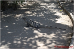20130510 Meksyk Tulum 16